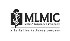 _0005_MLMIC-Logo-400x320