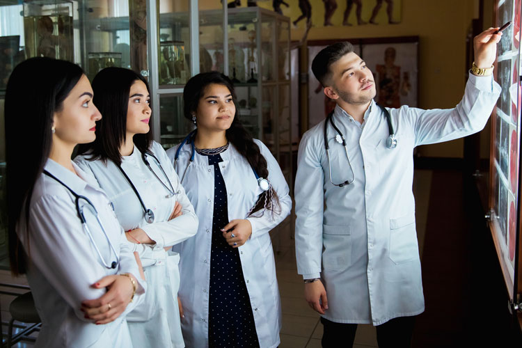 Medical Students Studying Scans